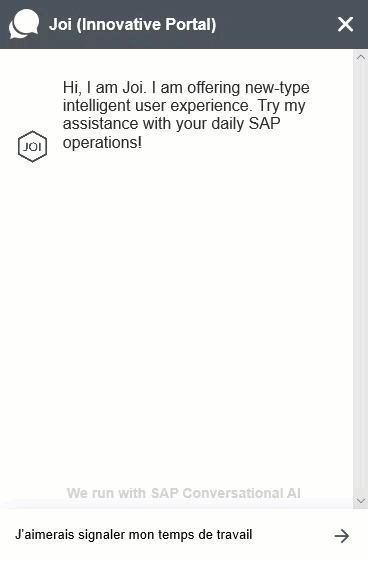 skybuffer_sap_ai_content_7257_report_working_time_fr