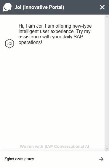 skybuffer_sap_ai_content_7257_report_working_time_pl