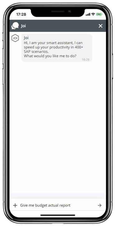 mob_en_poc_display_report_on_budget_actual_costs_commitment_costs mob_en_poc_display_report_on_budget_actual_costs_commitment_costs